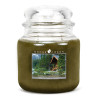 Bougie parfumée GOOSE CREEK moyenne jarre CABANE DANS LES BOIS
