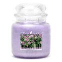Bougie parfumée JARDIN DE LILAS-Goose Creek