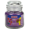 Bougie Haribo Berry Mix en petite jarre, parfum fruité et gourmand pour une ambiance joyeuse.