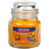 Bougie Haribo Tropical Fun en petite jarre, parfum exotique et gourmand pour une ambiance estivale.