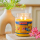 Bougie Haribo Tropical Fun en grande jarre, parfum exotique et gourmand pour une ambiance estivale.