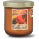 Bougie parfumée  POMME DU VERGER Heart and Home