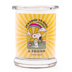 Bougie Peanuts A Friends, notes florales légères, vanille crémeuse et fruits rouges, pour une ambiance apaisante.