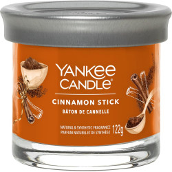 Bougie parfumée petite jarre Yankee Candle BATON DE CANNELLE