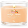 GLACE A LA MANGUE-Yankee Candle