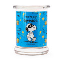 Bougie parfumée YOU'RE MY SUPERHERO-Peanuts