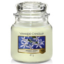 Bougie parfumée  JASMIN DE MINUIT-Yankee Candle