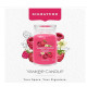 Bougie parfumée grande jarre Signature Yankee Candle FRAMBOISE ROUGE