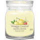 LIMONADE GLACÉE AUX FRUITS ROUGES-Yankee Candle
