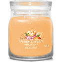 Bougie parfumée GLACE A LA MANGUE-Yankee Candle