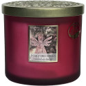 Bougie parfumée FORET DES ANGES-Heart and Home